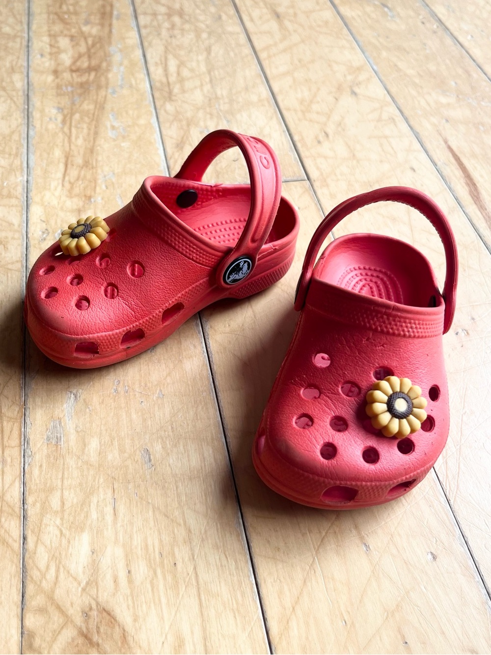 Crocs Red Classic Clog with Sunflowers Charms Size 4-5 (Baby)